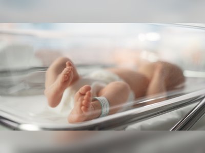 South Korea’s Births Edge Up After Years of Decline, Raising Hopes — and Doubts