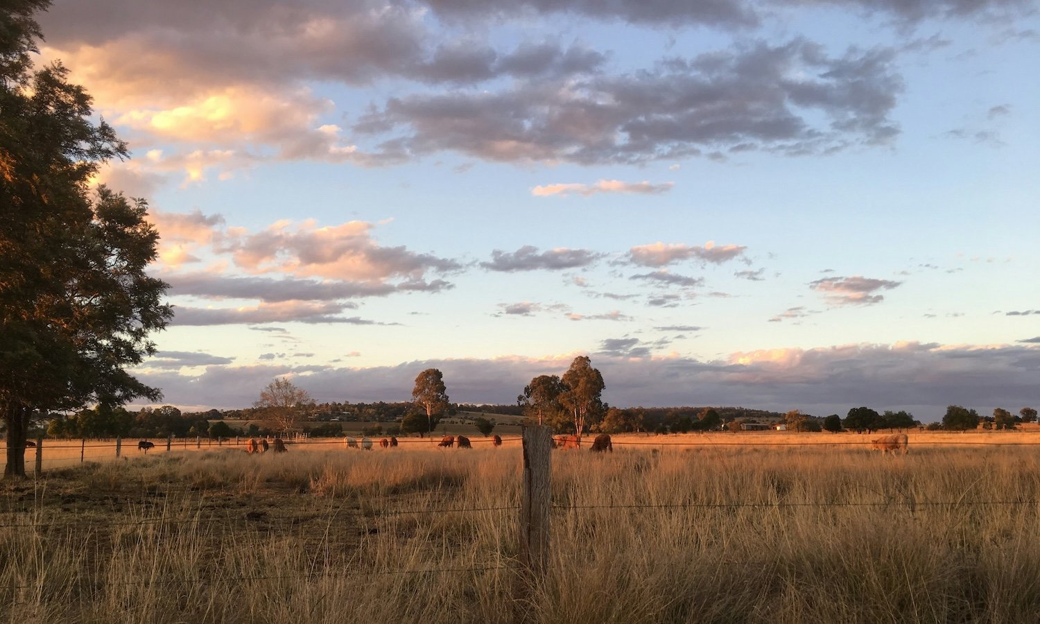 Australian Farmers Drive Resilience and Innovation in National Food System