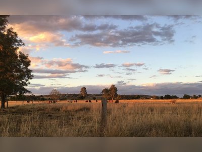 Australian Farmers Drive Resilience and Innovation in National Food System