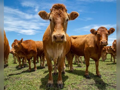 Australia and EU Close to Historic Free Trade Deal After Years of Deadlock