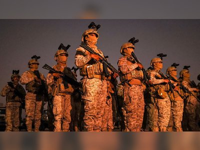 Calls Grow for Saudi Arabia and UAE to Settle Differences Through Direct Dialogue