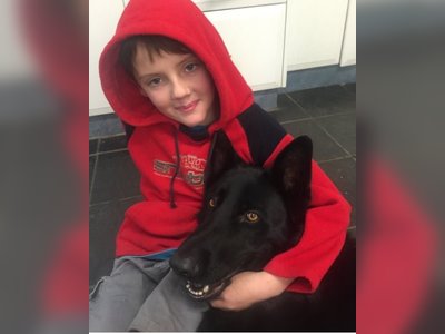 Australian Teenager’s Death Attributed to Rare Tick-Induced Meat Allergy in First National Case