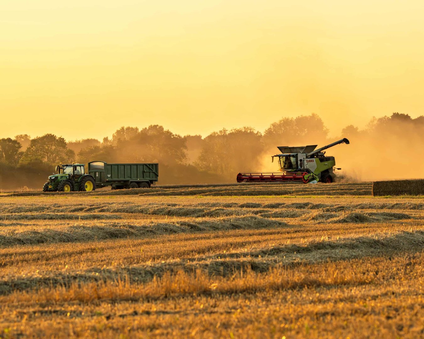 Expert Warns UK Must Build Emergency Food Stockpiles to Prepare for Climate Shocks or War