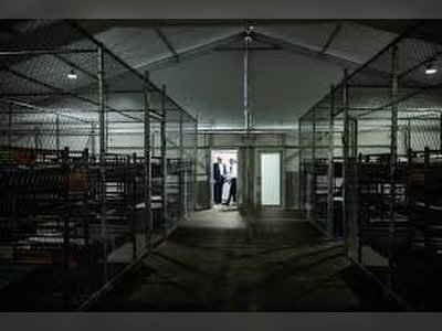 ICE Enforcement Activity Surges in Washington State, University of Washington Report Finds