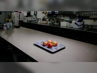 Scientists Introduce Climate-Resilient Apple Designed for a Warming World