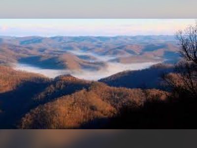 Trump-Era Forest Service Restructuring Leads to Closure of UK Lab Focused on Kentucky Woodland Health