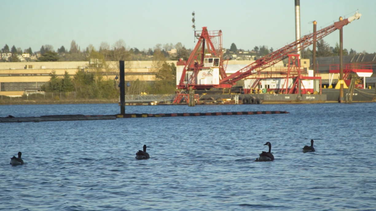 Washington Environmental Policy Faces Mixed Progress Amid Growing Challenges