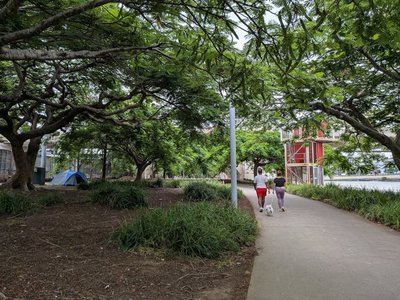 Rising Homeless Encampments Renew Focus on Australia’s Proven Housing Solutions