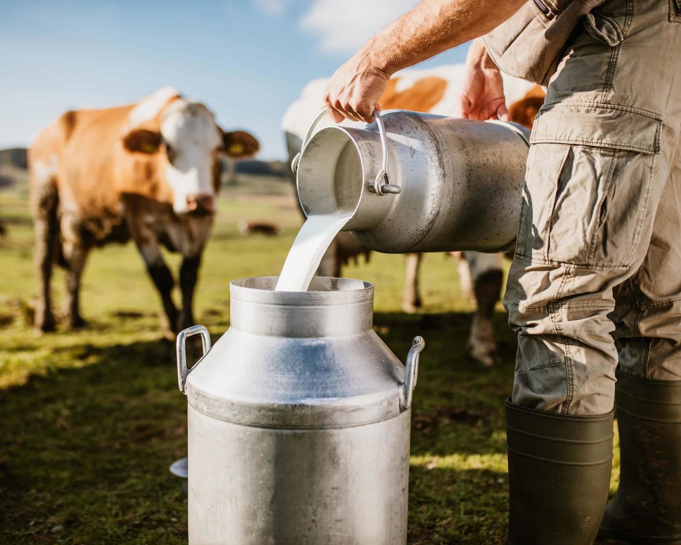 Surging Demand for Raw and ‘Brewed’ Milk Signals Shift in UK Consumer Preferences