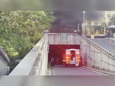 WMATA withdraws hybrid bus fleet after tunnel fire near National Mall triggers safety probe