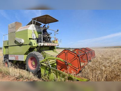 Tunisia Secures Approximately 25,000 Metric Tons of Animal Feed Barley in International Tender