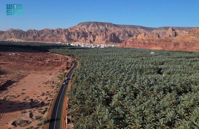 Saudi Date Exports Reach Record $517 Million in 2025