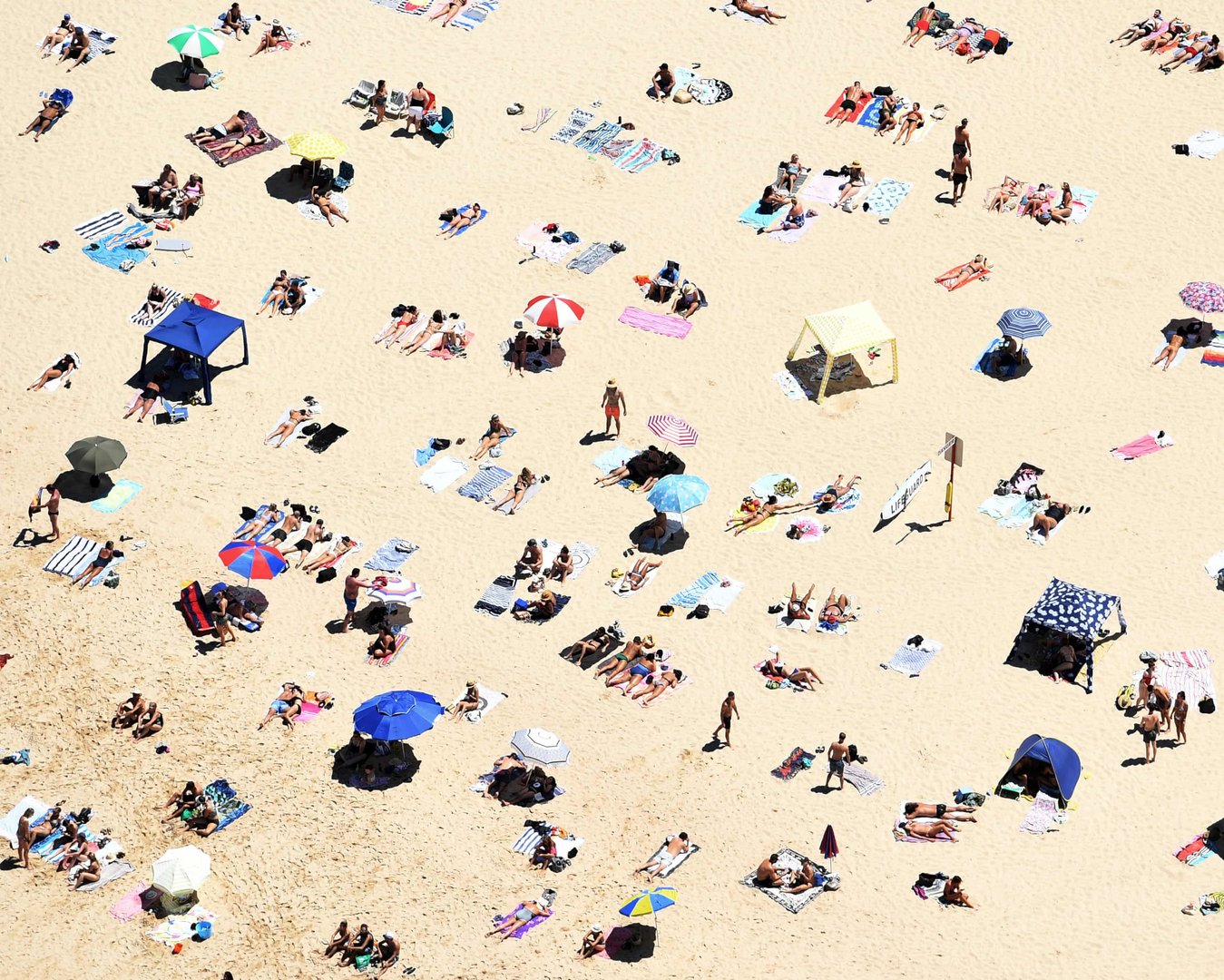 Rising Out-of-Pocket Costs Push Australians Away From Dermatology Care Amid Skin Cancer Surge