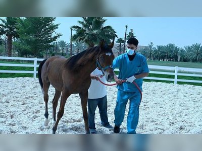 Saudi lab gains global recognition for equine testing
