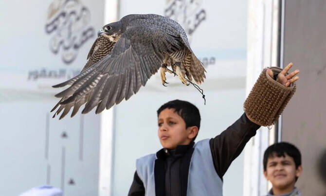 Saudi Falcons Club Announces 2026 Events Calendar