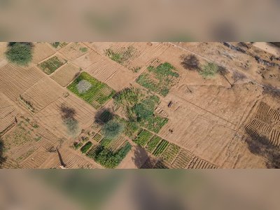 Saudi Arabia Bets on AI Sustainability Platform to Unlock $20 Billion Economic Opportunity