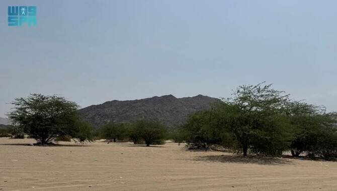 Visitors flock to Al-Mughmas Valley amid growing prominence as eco-tourism destination