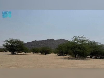 Visitors flock to Al-Mughmas Valley amid growing prominence as eco-tourism destination