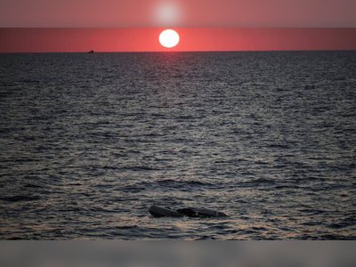 Libya: At Least 17 Migrants Die at Sea, Nine Missing Feared Dead