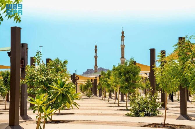 Over 60,000 Trees Planted Across Makkah's Holy Sites in Sustainability Push