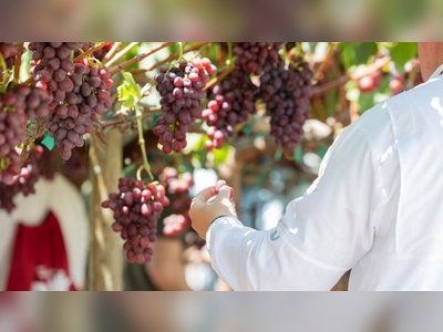 Sun World Expands Global Licensing Network to Scale Branded Fruit Strategy in Australia and Italy