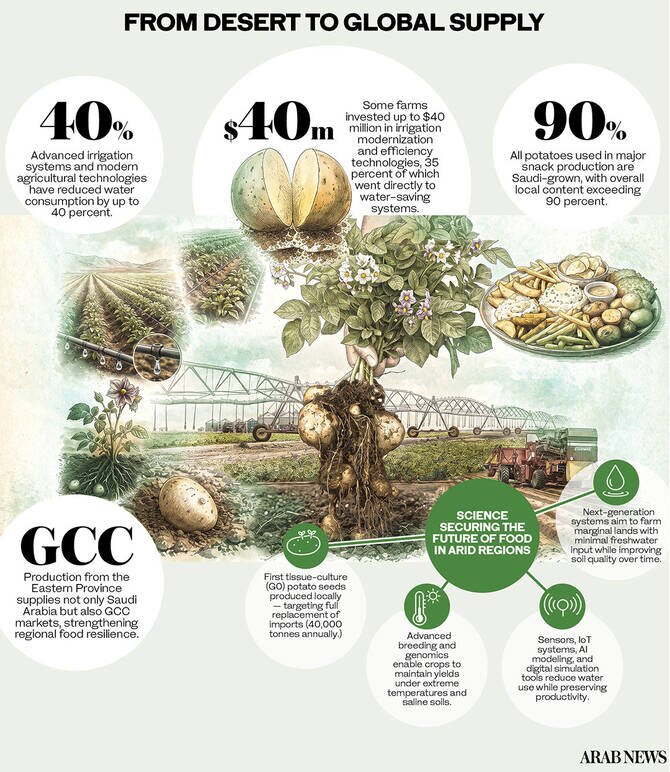 Saudi Arabia's Agricultural Innovation: Engineering Food Production in Harsh Conditions