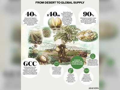 Saudi Arabia's Agricultural Innovation: Engineering Food Production in Harsh Conditions