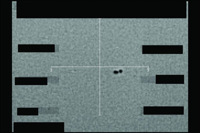 Pentagon Releases Decades-Old UFO Files as Trump Spurs Public Analysis