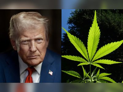Trump Administration Drug Policy Faces Scrutiny Over Contradictions on Marijuana and Enforcement Priorities
