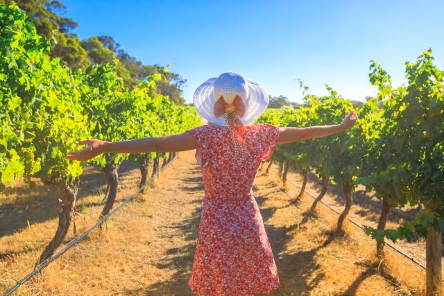Australia’s Wine Regions Brace for Cuts After Government Axes Tourism Grant Program
