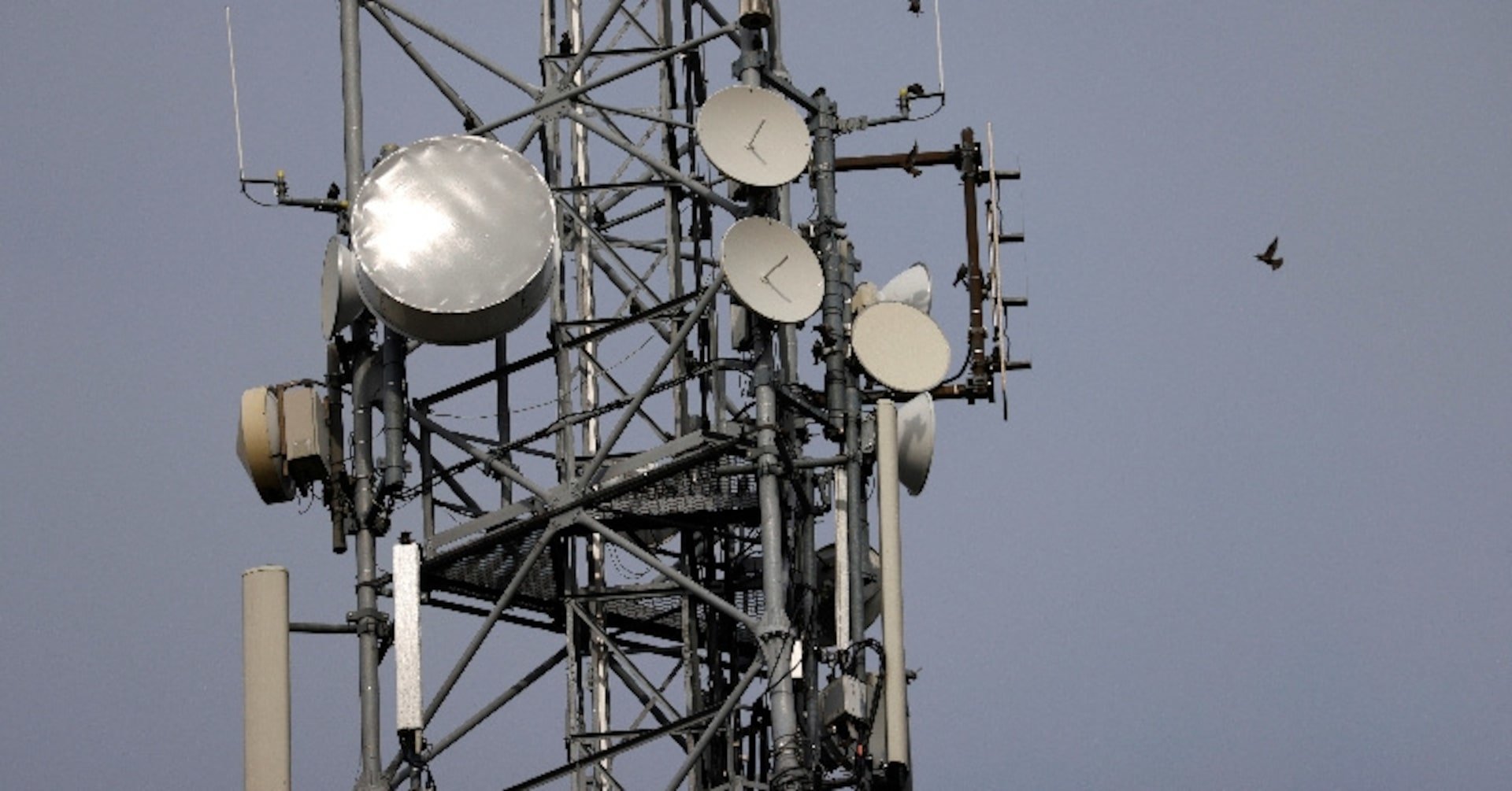 Gamma Communications Enters Early Takeover Talks as UK Telecom Consolidation Accelerates