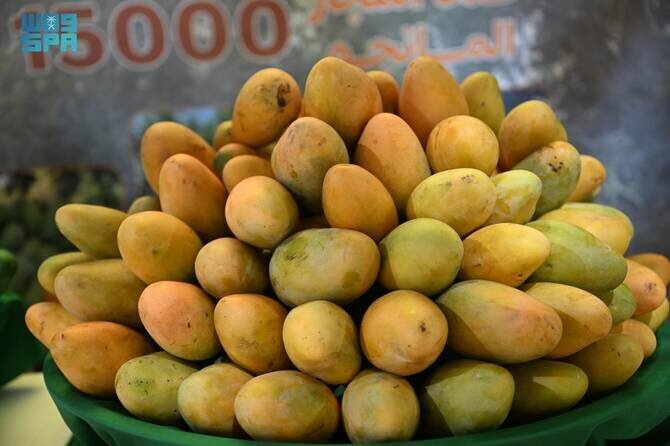 Jazan Region Bolsters Saudi Arabia's Tropical Fruit Output with Thriving Mango Industry