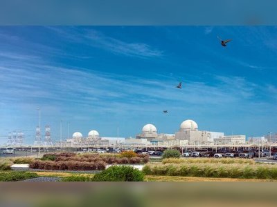UN Watchdog Expresses Concern Over Drone Strike Near UAE Nuclear Plant