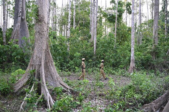 India's Only 'Uncontacted' Tribe Faces Threat from Encroaching World