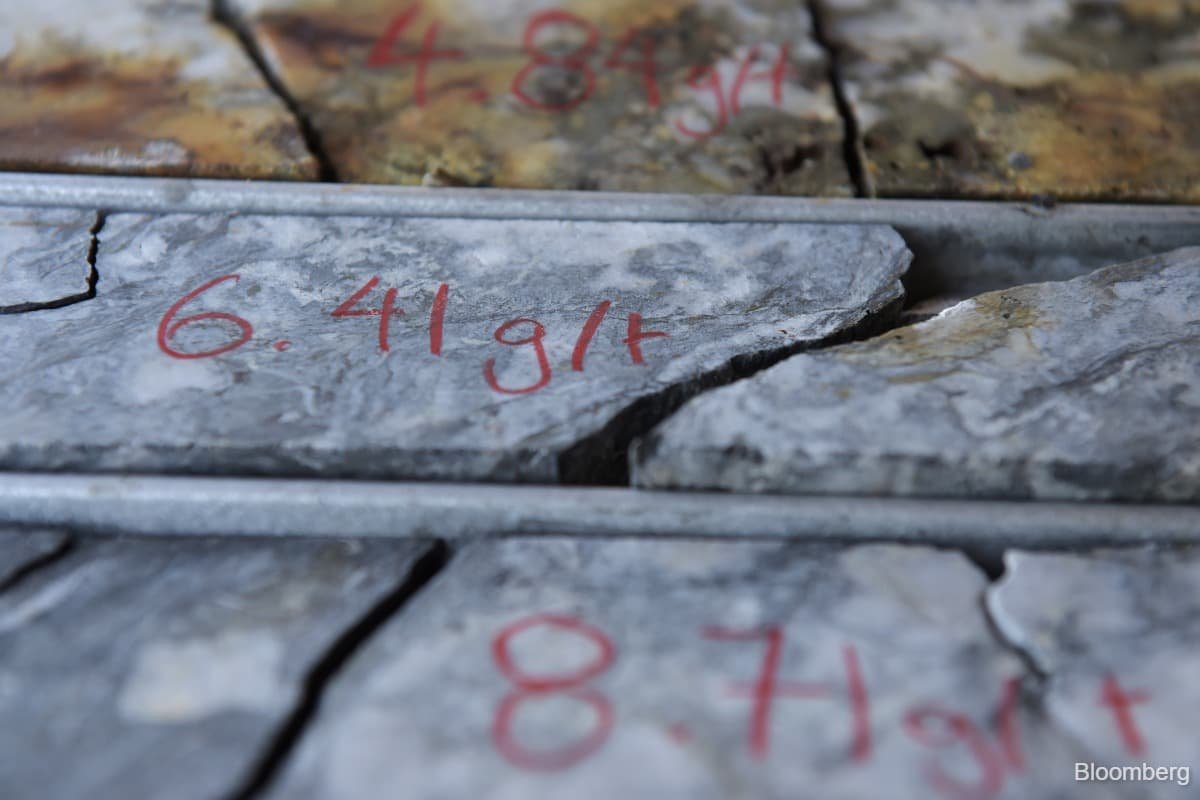Australia Forces Chinese-Linked Investors Out of Strategic Rare Earth Miner