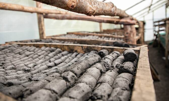 Italian Police Disrupt Crime Gang Turning Toxic Ashes into BBQ Briquettes