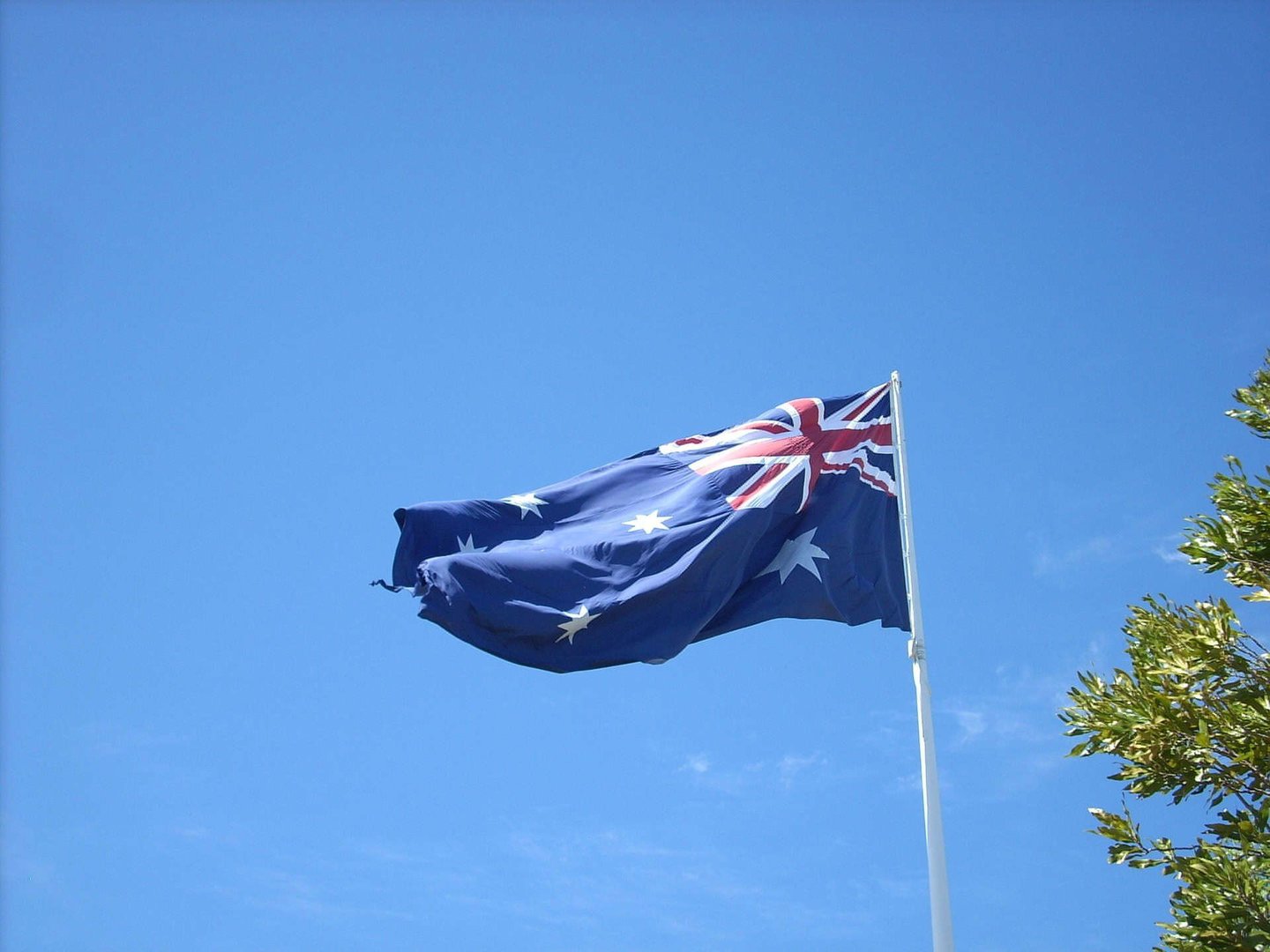 Australia Freezes New International Student Provider Registrations in Major Migration Crackdown
