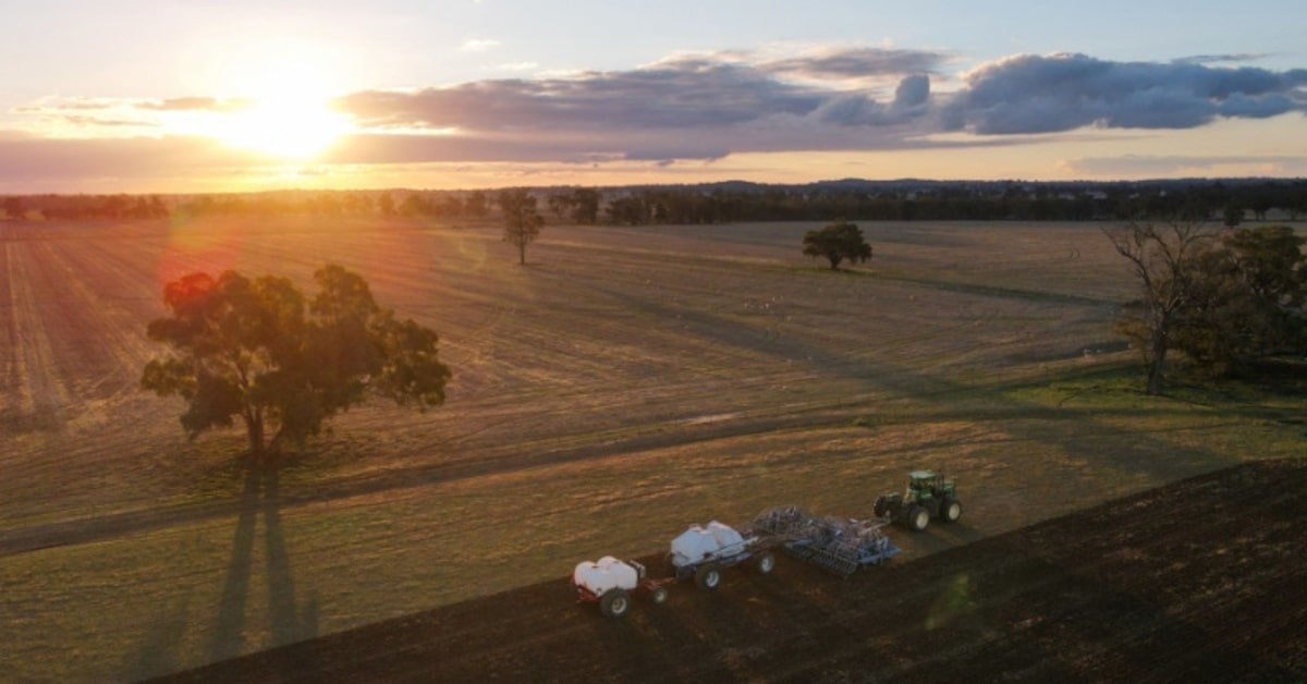 Australian Wheat Output Faces Sharp Fall as Iran War and Drought Press Farmers