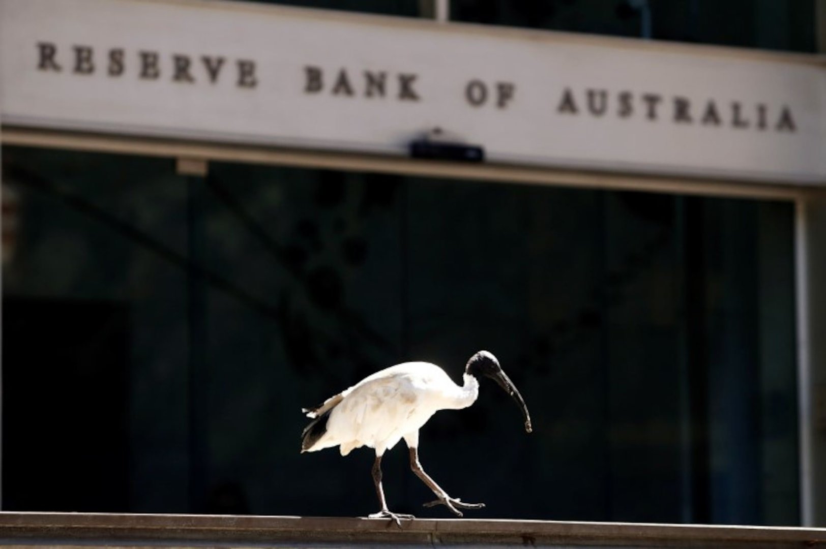 Reserve Bank Signals Pause as It Waits to Gauge Gulf Conflict’s Impact on Inflation
