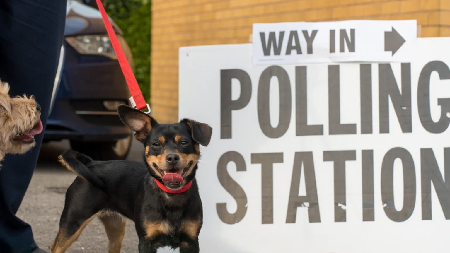 Over Sixty Labour MPs Push for Review of UK Voting System as Electoral Reform Debate Intensifies
