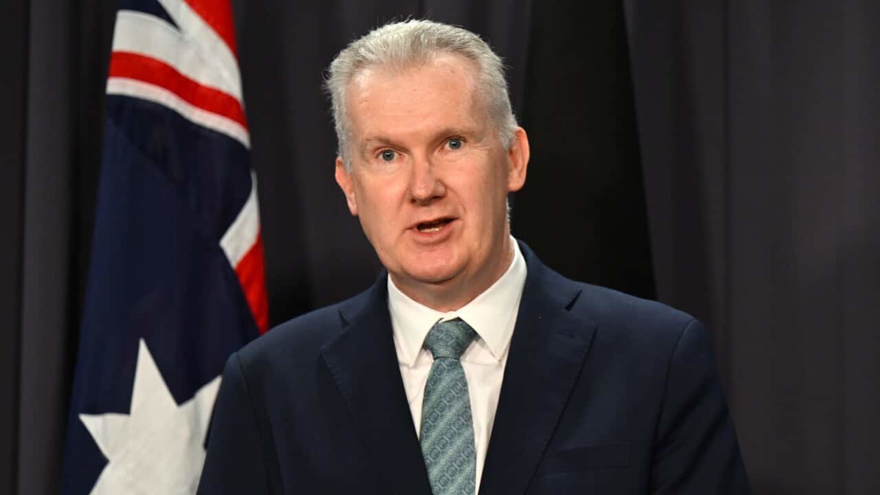 Australia Expands Hate Group Crackdown With Ban on Neo-Nazi Network