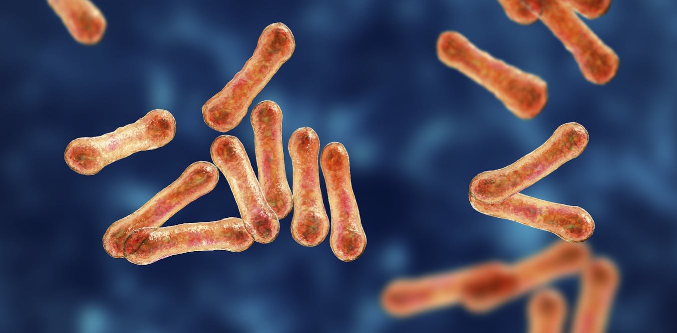 Australia Faces Its Largest Diphtheria Outbreak on Record as Health Authorities Rush Vaccination Campaign