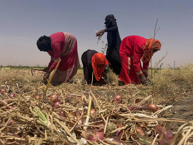 Sudan's Agriculture Faces New Threats as Global Fuel Costs Rise