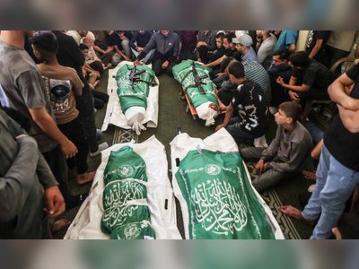 UN Raises Alarm Over Israel's Killings of Gazan Civilians Near Armistice Line